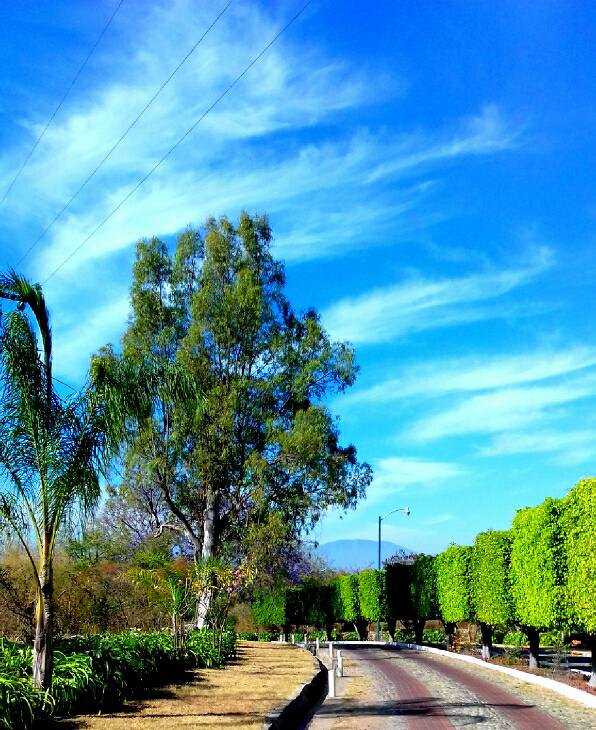 17883906_449221498749738_4931184545994720729_n