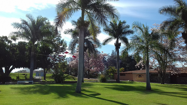 33113056224_92fb8187ee_z