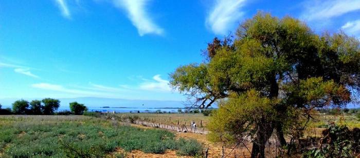 17879842_449221618749726_4195227729972170073_o