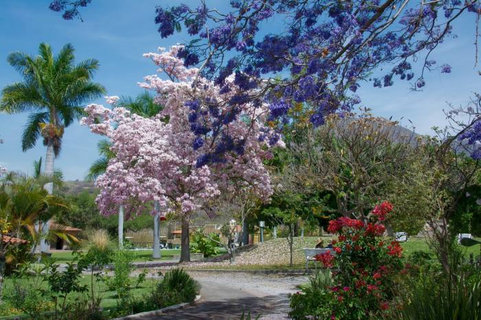 19143253_1440074962681939_3964441049407561850_o