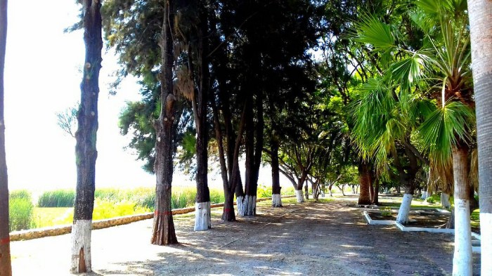 30546030530_2d516cb465_b