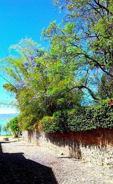 33619375183_e508218e80_z