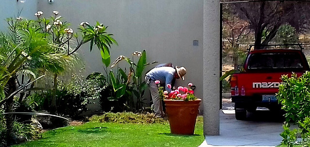 33619392873_a46b97d2b0_z