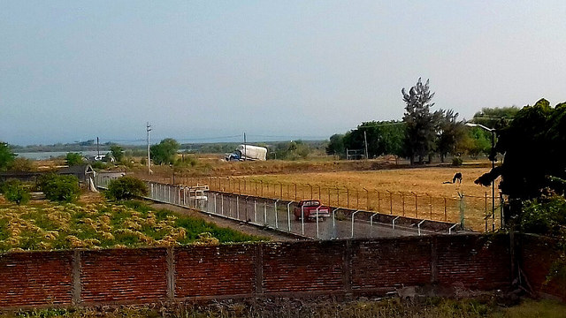 34031017230_db8f776ae4_z