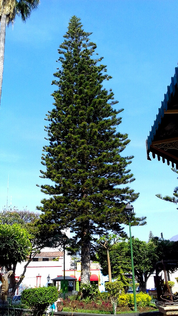 34375525182_bdbaf99d1e_b