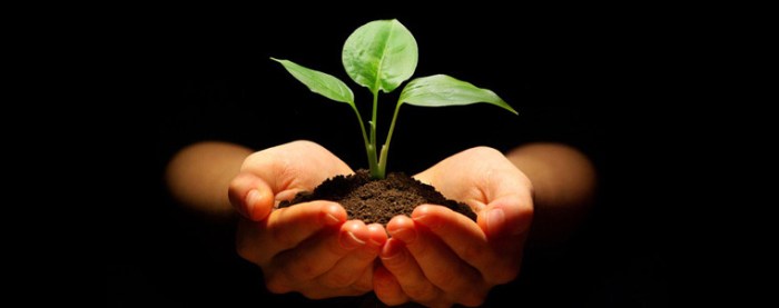 capability-building-mast