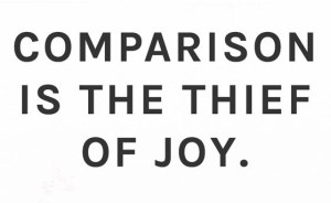 theodore_roosevelt_quote