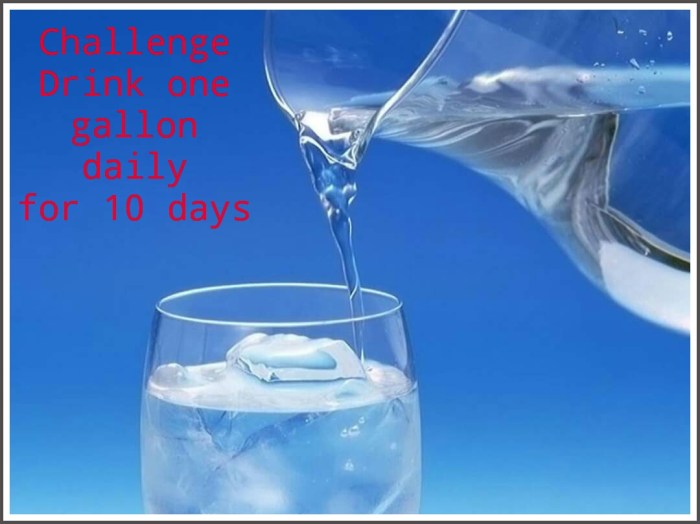 33108104_639558449716041_8913770573453066240_o