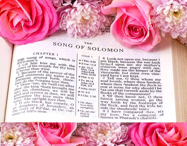 8f658d7d2eb4cc12c16d82194c4497b3