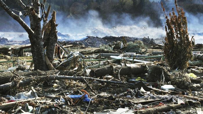 001c0ca85db525f2dca48232941c8fb53f4fee3f_original