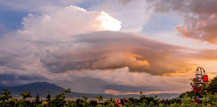 40128117_1902772199745544_1765866075649474560_o