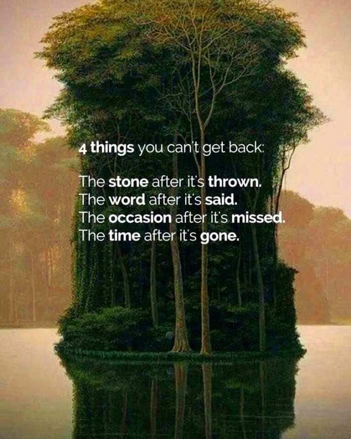 46503109_1154677244684038_1259300092112797696_n