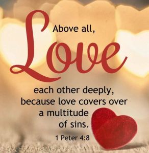 3e1f835ffd8599b81a03d93cd6ecceae