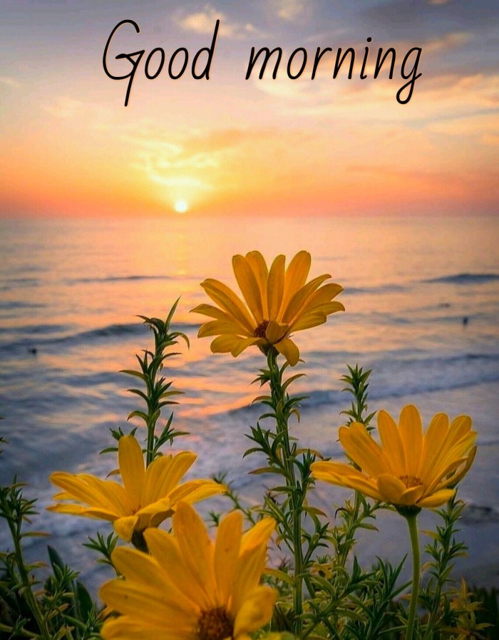 Nice-Pic-Of-Good-Morning-Sunrise-with-Flower
